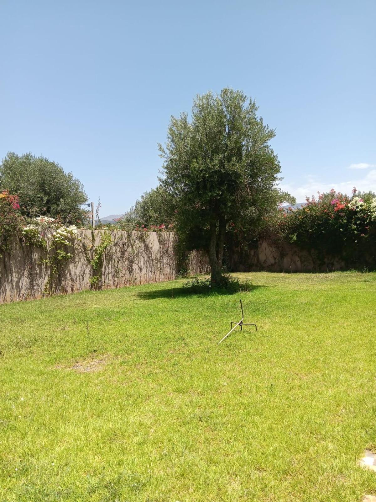 Villa Jamel Marrakech Zac Marraquexe Exterior foto